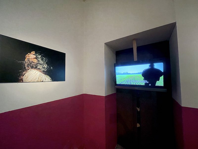 Exhibition view